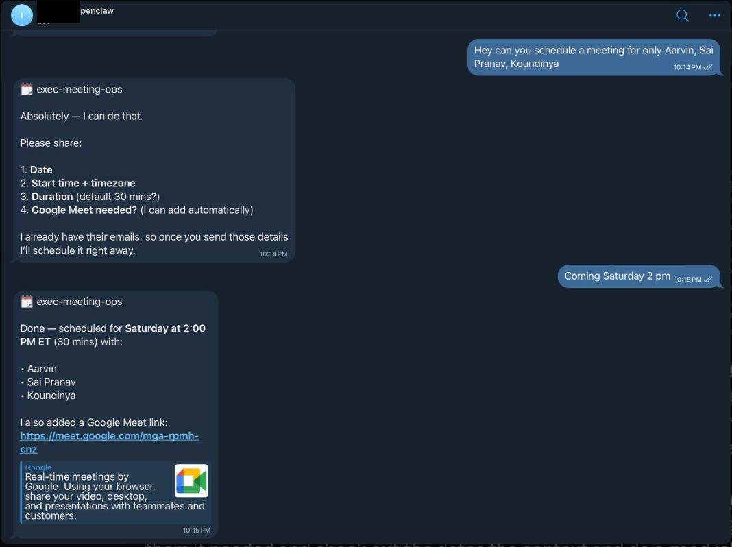 Redacted Telegram conversation: the assistant clarifying details and confirming a meeting time.